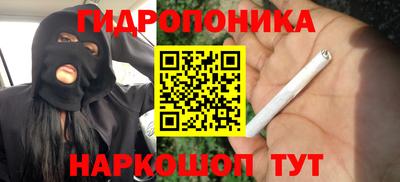 амф Ливны